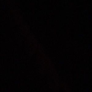 Meet your Posher, Riley